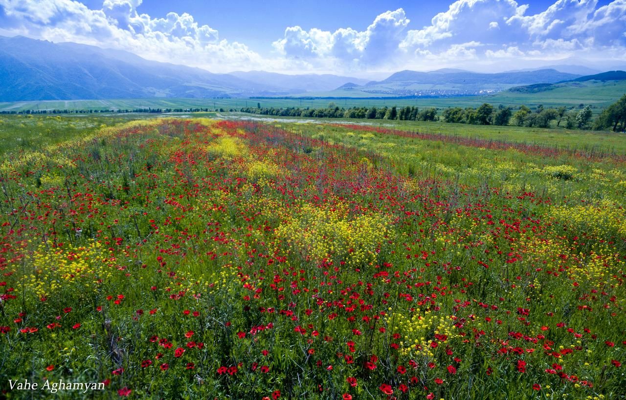 Гостевой дом Holiday Home Ruben Одзун